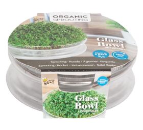 Growkit Organic sprouts Glass Bowl