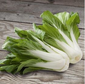Organic Pak Choi Seeds 'Bopak F1'