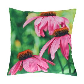 Outdoor Cushion with Coneflower Print