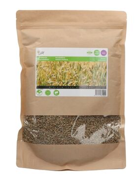 Rye Green Manure Seeds 1kg