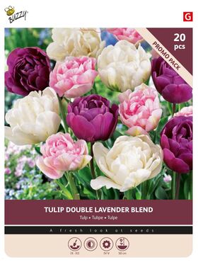 Tulpen Bloembollen Double Lavender Blend
