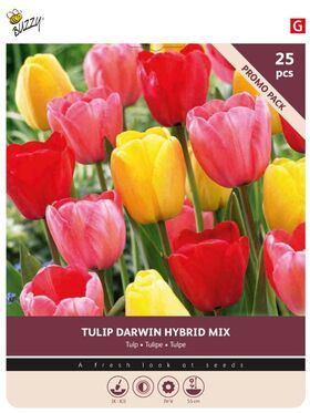 Tulip Bulbs 'Darwin Mix' 25st.