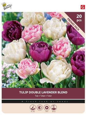 Tulipbulbs 'Double Lavender Blend' 20st