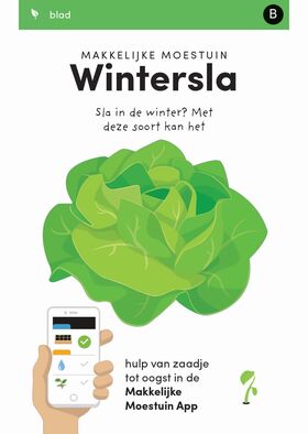 Square Foot Garden Seeds Winter Lettuce