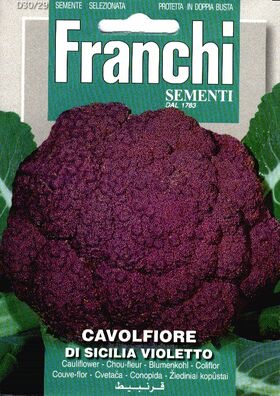 Cauliflower Violet