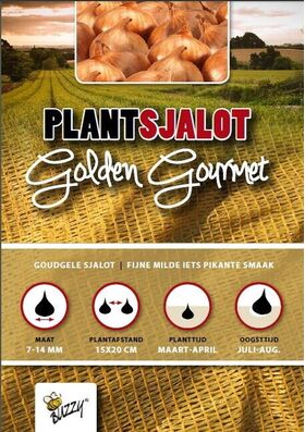 Plantsjalotten Golden Gourmet 250gr.