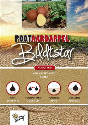 Pootaardappel Bildtstar 1 Kg