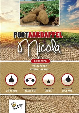 Pootaardappel Nicola 1 Kg