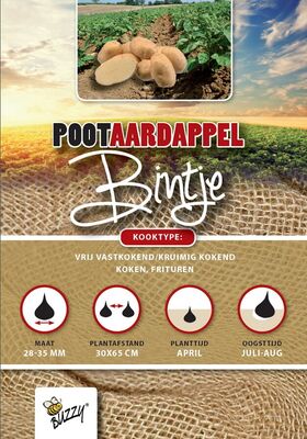 Pootaardappel Bintje 1 Kg