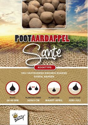 Pootaardappel Sante 1 Kg