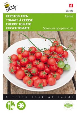 Cherry Tomato Cerise