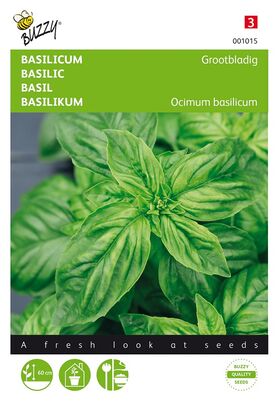 Sweet Basil Large Leaved