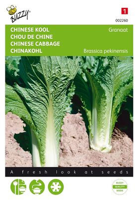 Chinese Cabbage Michihili