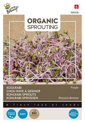 Organic Sprouting Kohlrabi Purple