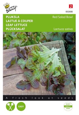 Leaf lettuce Red Salad Bowl