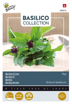 Basilicum Thai