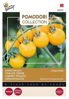 Pomodori Tomato Ciliegia Gialla