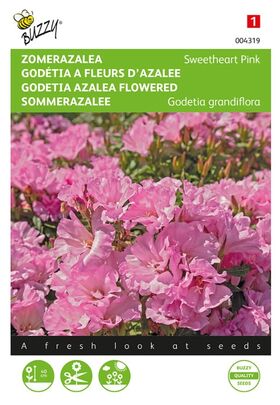 Godetia Azalea Seeds 'Sweet Heart Pink'