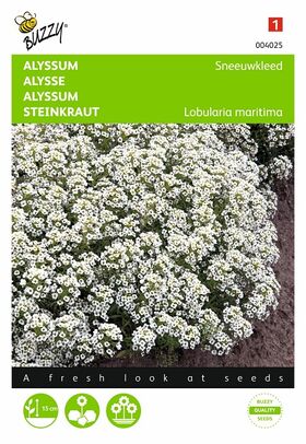 Alyssum Snowcloth flower seeds