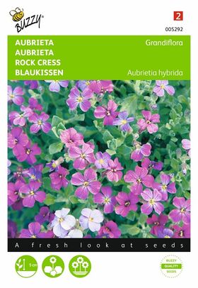 Aubrieta mixed flower seeds