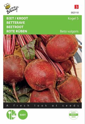 Beetroot seeds Kogel 5,  Loki