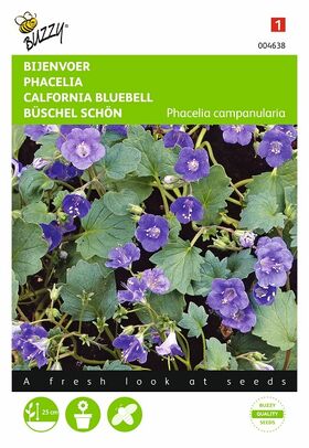 California Bluebells flower seeds