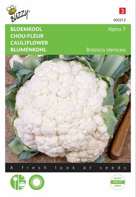 Cauliflower Seeds Alpha