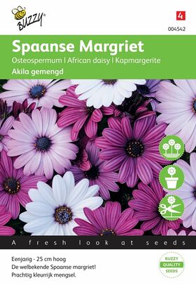 Spanish daisy flower seeds