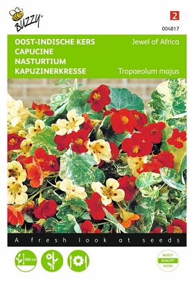 Nasturtium flower seeds mini