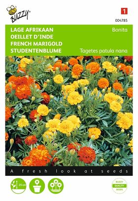 French marigold flower seeds