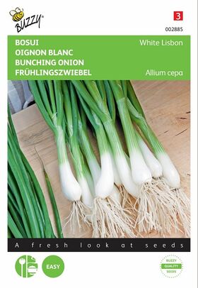 Bunching Onion Seeds