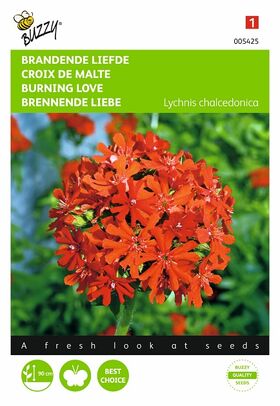 flower seeds of the maltese cross