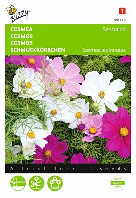 Cosmos seeds Sensation