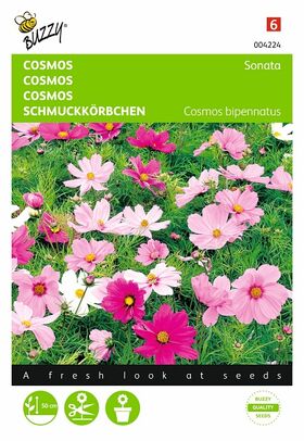 Cosmos Flower Seeds