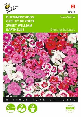 Sweet William Flower seeds