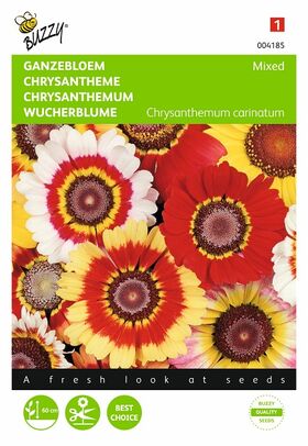 Chrysanthemum Flowerseeds