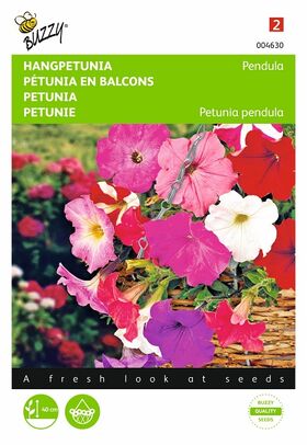 Petunia Pendula