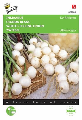 Pickling Onion Seeds