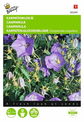 Campanula Carpatica flower seeds