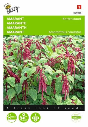 Love-Lies-Bleeding flower seeds