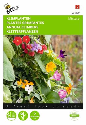 flower seeds for climbing plants