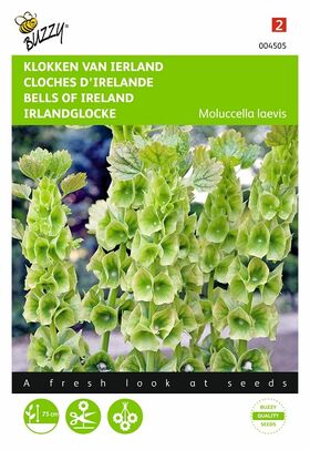 bells of Ireland flower seeds
