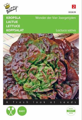 Lettuce Besson Seeds