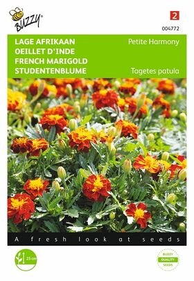 French marigold seeds Petite