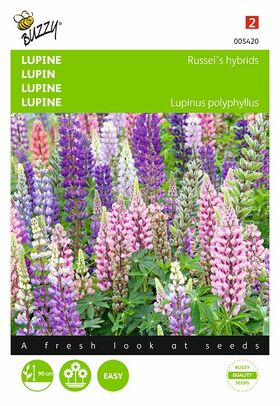 Lupin flower seeds