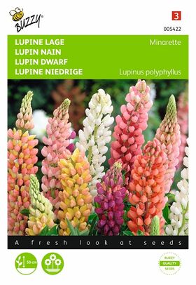 lupin Flower seeds