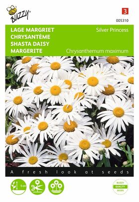 Shasta Daisy flowerseeds