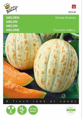 Melon Seeds