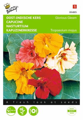 Nasturtium Samen