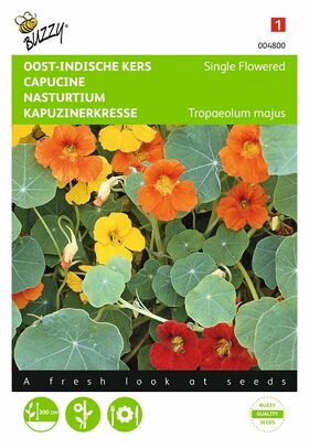 climbing nasturtium flower seeds